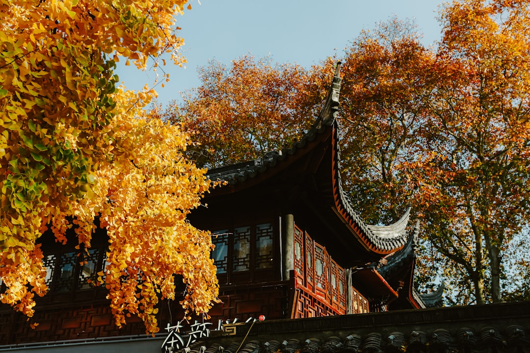 blog_8